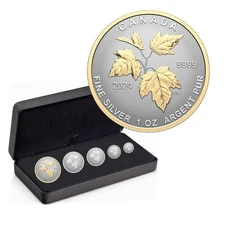 2024 CANADA MAPLE LEAF AUTUMN BEAUTY REVERSE PROOF 5-COIN SET GILT