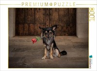 Calvendo Puzzle Chihuahuas Rose | 1000 Teile Lege-GrößE 64 × 48 Cm Foto-Puzzle F