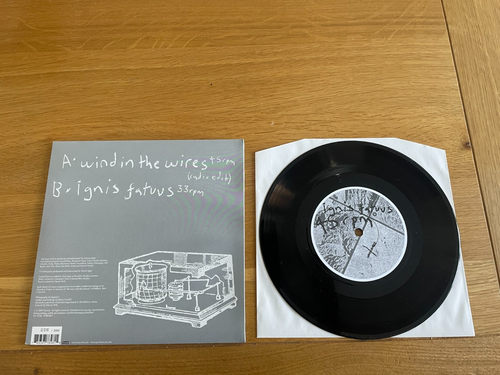 Patrick Wolf-Wind in the wires.7" - Picture 2 of 2