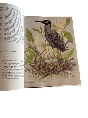 The Birds Of Indiana By Russell E. Mumford & Charles E. Keller - Foto 4 di 8