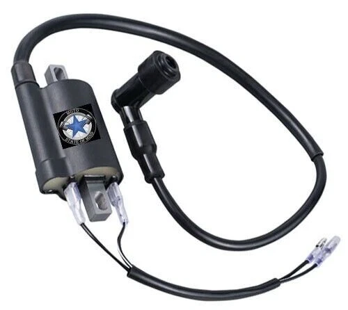 Bobina de encendido + bujía para Arctic Cat 250 300 Alterra 300 2006-2017 Foto 2 de 3