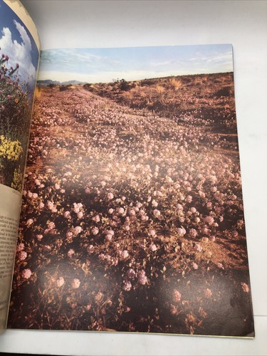 Arizona Highways Magazine December 1955 - Picture 3 of 5