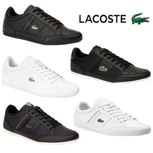lacoste zapatos