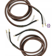 Analysis Plus Chocolate Oval 12/2 CL3&FT4 Spe...