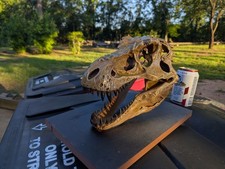 Hand painted 3D print T-Rex Dinosaur Skull - Stylish Deco 4 home /Office Spaces