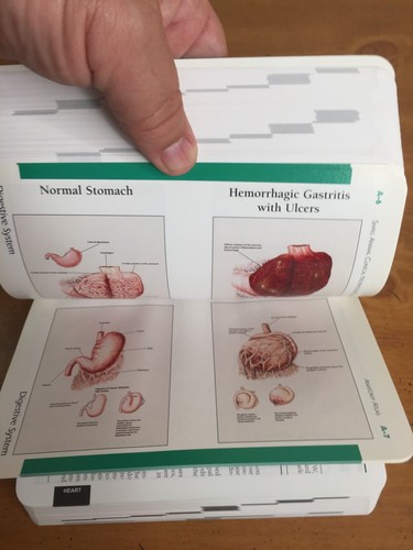 Small Animal Clinical Nutrition Pocket Companion 4th Edition -- Hand Novotny - Picture 10 of 12