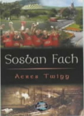 Cyfres Cip ar Gymru / Wonder Wales: Sosban Fach by Twigg, Aeres Paperback Book