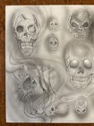 Picture 2 of 12