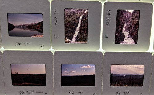 VTG 76 Slides 1980 Alaska Dall Sheep Ram, Gold Dredge, Santas House North Pole - Picture 9 of 12