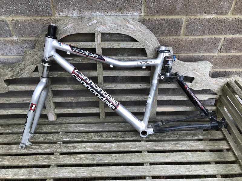 Cannondale Scalpel 2000 Size L Frame