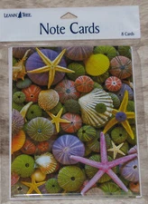 LEANIN TREE Seashells & Starfish~Pack of 8 Notecards #35745~Color Inside~Blank