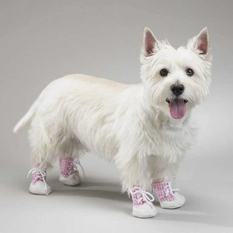 Dog hotsell side shoes