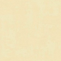 27531 - Synergy Einfarbig Texturiert Creme Galerie Tapete