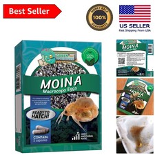 Hatch Healthy Fish with Moina Macrocopa Eggs - Additive-Free  Nutritious