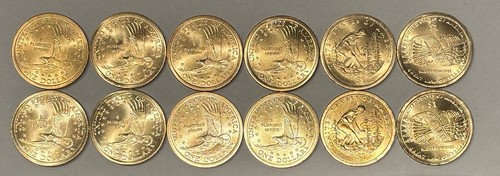 2000 - 2025 Sacagawea Native American 96 Coin PDS +W Set w18 Special Issue Coins - Picture 7 of 14