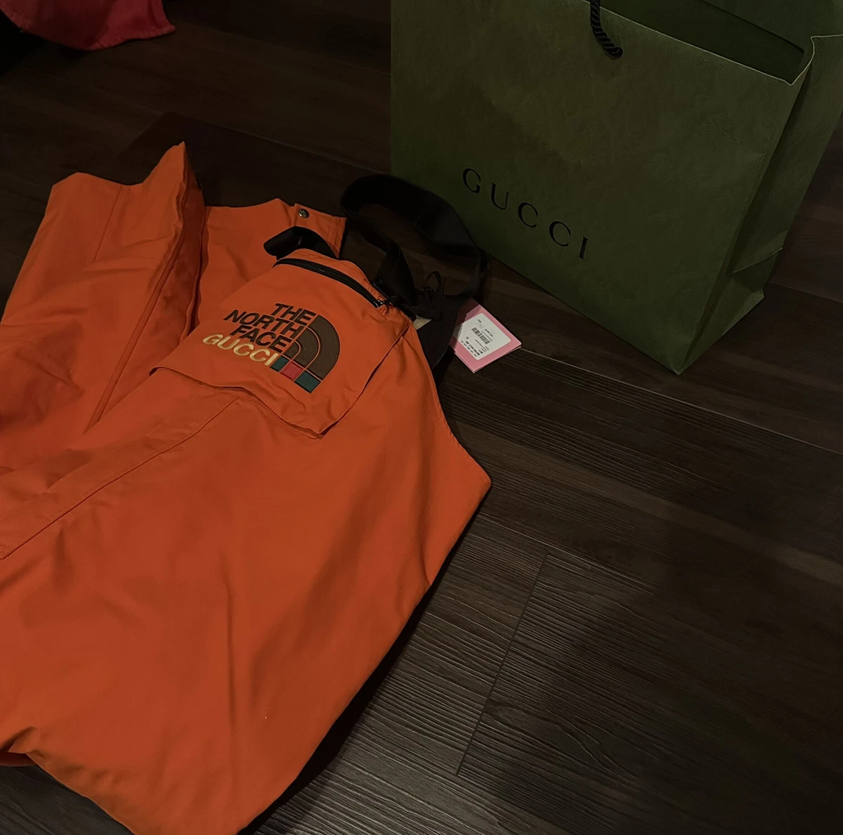 gucci north face ski