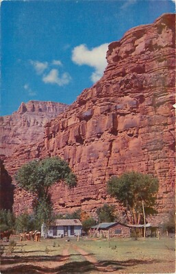 Postcard 1960s Arizona Havasu Canyon Canyon Homes Gillick AZ24-3196
