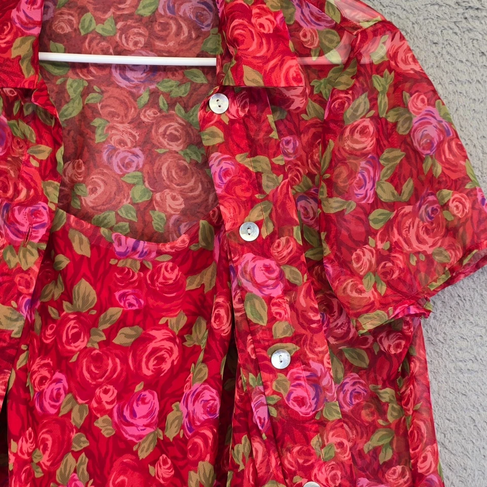 Miss Dorby Dress Suit Womens S/M Rose Babydoll Lined Dress Chiffon Cottagecore - Image 4 of 4