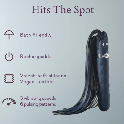 Pure Romance HITS the SPOT  Vegan Leather Whip (Tasseled Flogger) with  Vibrator | eBay