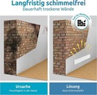 Bild 4 von 8