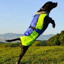 NEW Alpine Dog Coat Waterproof Cobalt Blue Green Insulated 4-120 Lb All Sizes