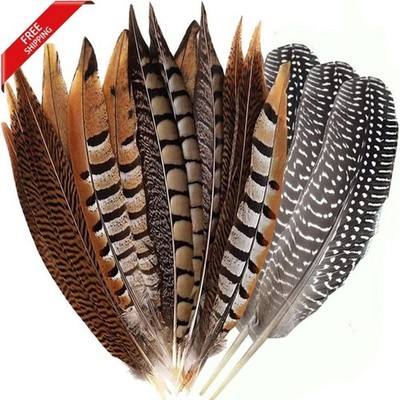Flying Feathers Natural Pheasant Feathers 4 Style 15-20Cm 12Pcs Natural Feathers
