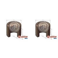2X Autofren 66Mm Kolben Bremssattel Vorne Passend FüR Chrysler Grand Dodge Journ