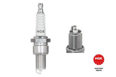 NGK 4691 Spark Plug for ARO RENAULT