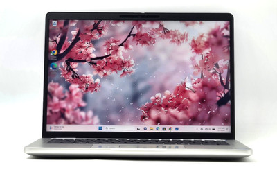 Dell Pro 13 Plus PB13250 Laptop Touch Intel 7 265U 32GB RAM 256GB NVMe Win11 Pro