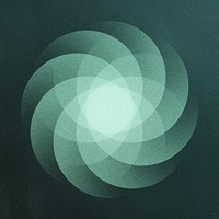 Som - Shape Of Everything - Vinyl Record - G3Z