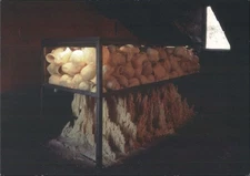 Sculpture Ann Hamilton offering,1991 Mattress Factory Original Vintage Postcard