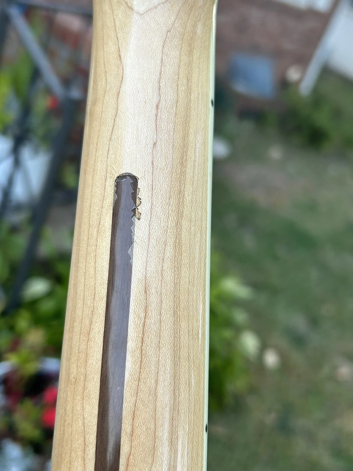 Picture 11 of 14