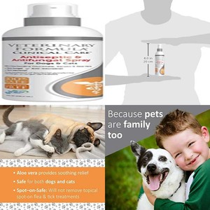 Antiseptic & Antifungal Spray For Dogs Cats - Medicated ...