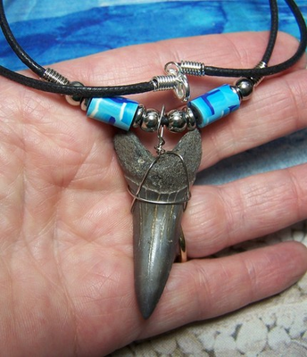 #ad #ad MAKO SHARK TOOTH 1 7 8quot; TEETH NECKLACE FOSSIL JAW MEGALODON SCUBA DIVE SHARKS $18.95