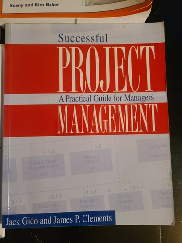 (LOT OF 10) Project Management Books (B) - Picture 4 of 11