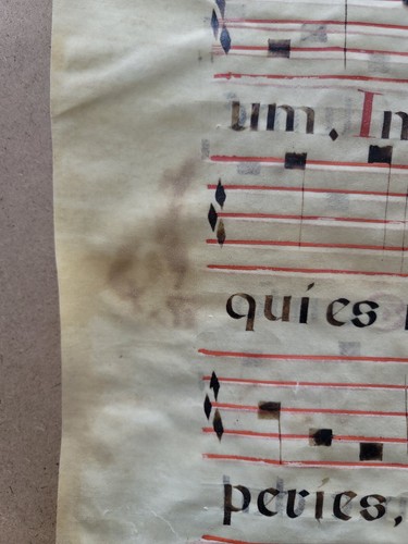 16. Jahrhundert Antiphonal Musik Manuskript auf Vellum 20 Zoll × 14,5 Zoll doppelseitig 1 Seite - Bild 6 von 7
