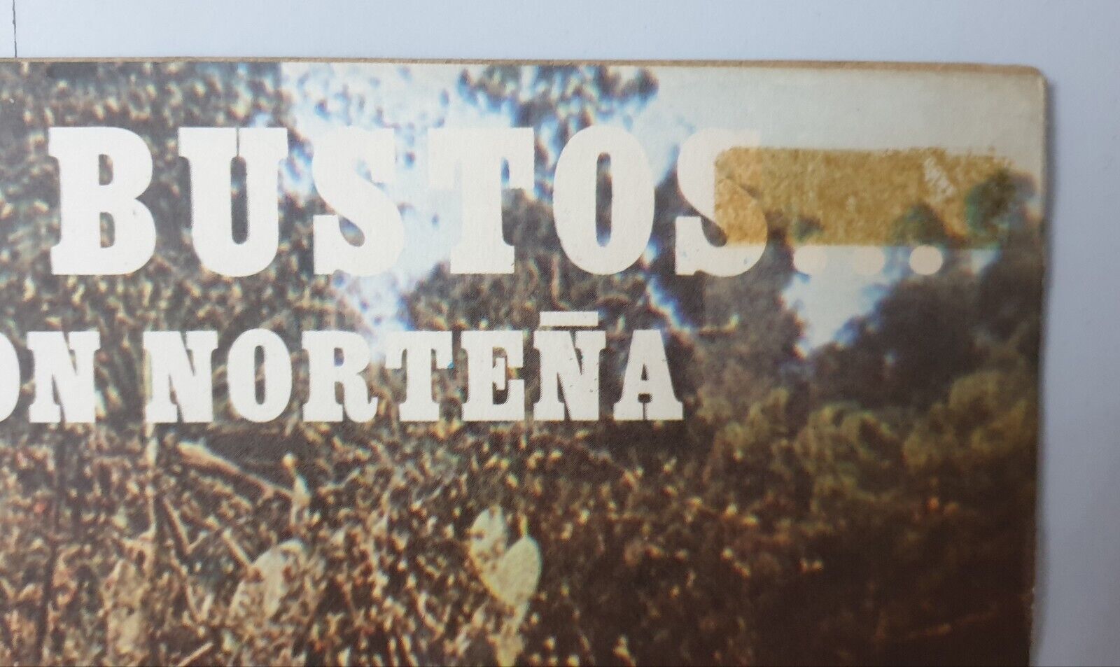 Imagen 3 de 12