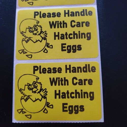 100 Handle with care Hatching Eggs sticker shipping labels 2" x 3" U pick Color - Picture 12 of 15