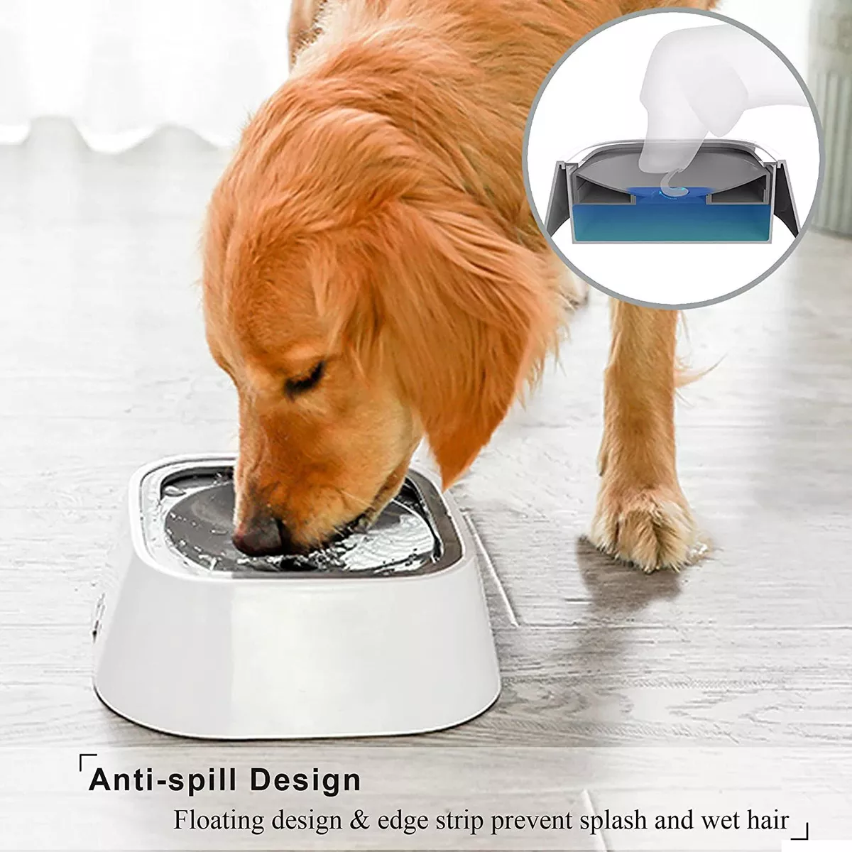 The 8 Best No-Spill Dog Water Bowls for Mess-Free Drinking