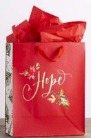 Day Spring Cards Gift Bag-Specialty-Hope-Romans 15:13-Large (Jul)