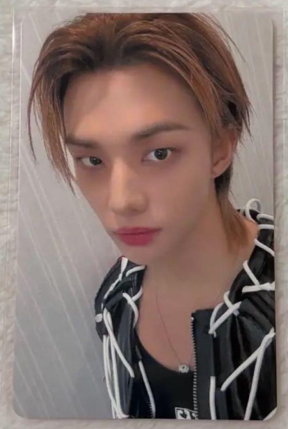 Stray Kids hollow Offline Events 2/1 Japan POB Official Photo card