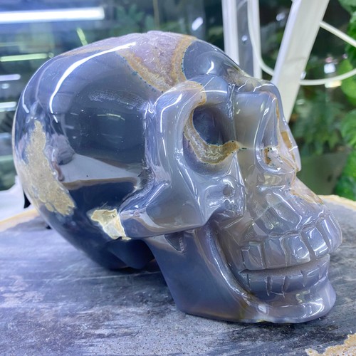 8,8 lb Ágata Natural Pulida Tallada Calavera Cristal Decoración Espiritual- - Imagen 23 de 24