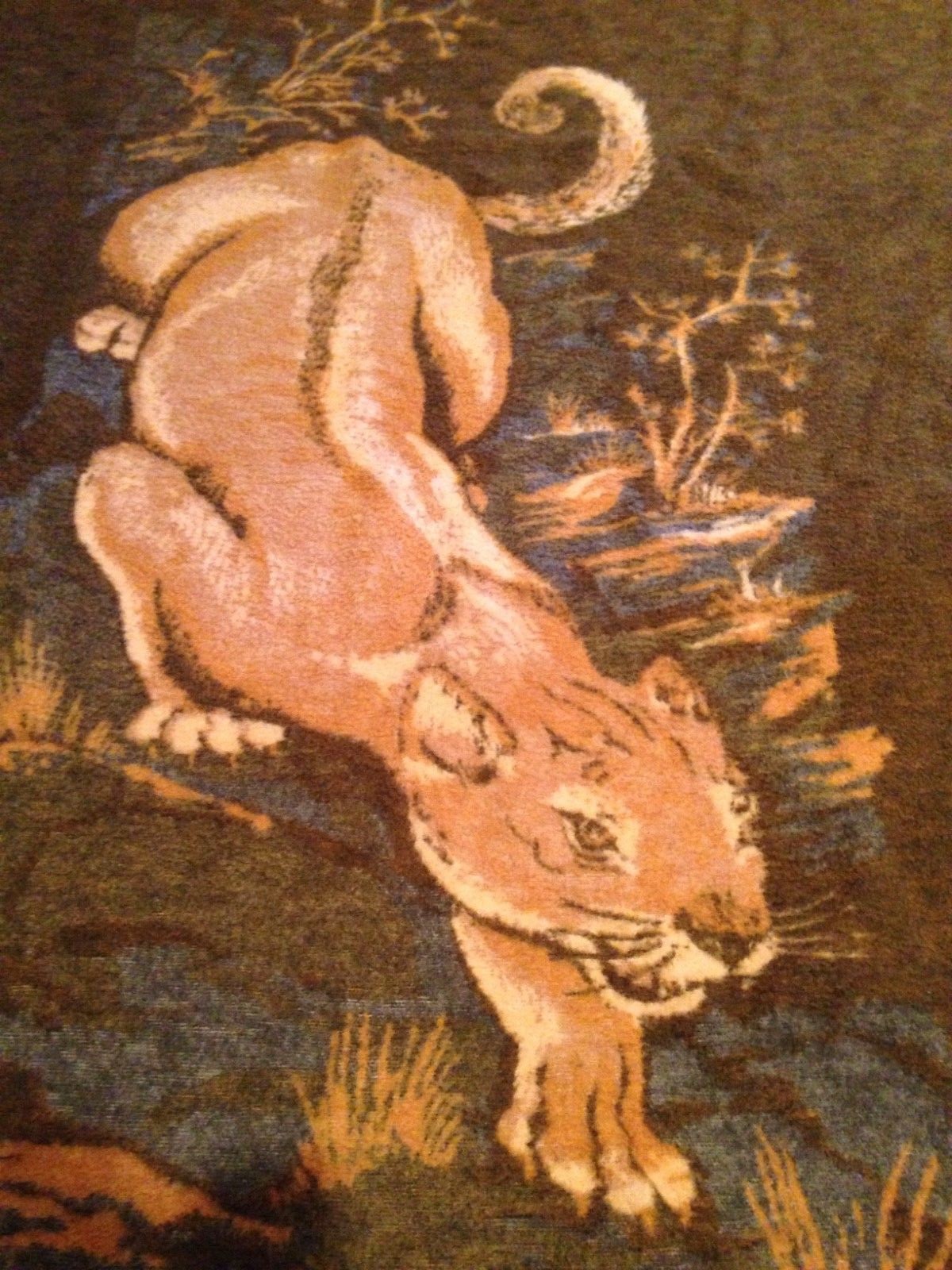 Picture 1 of 12