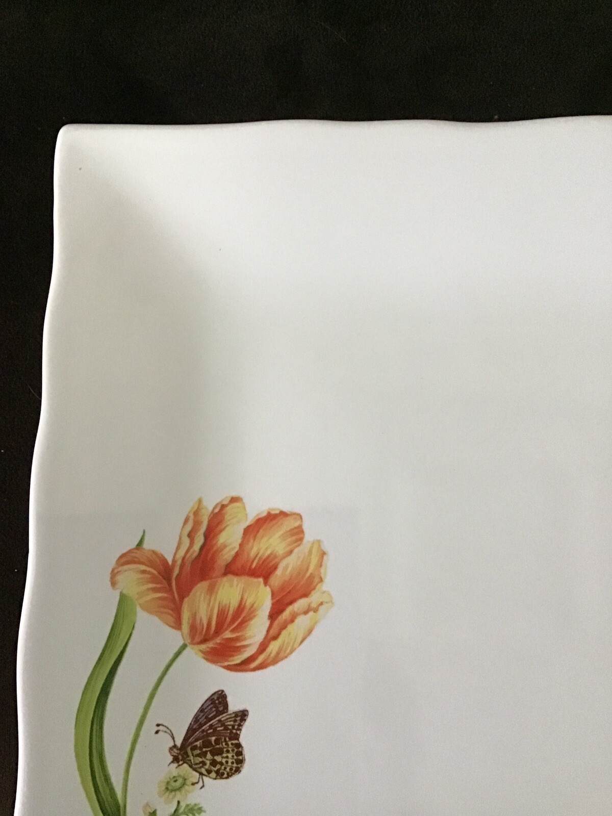 Picture 3 of 6