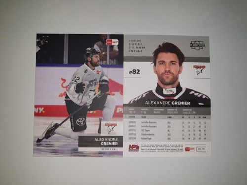 DEL Playercards 2024/2025 24/25 Kölner Haie Einzelkarten zum aussuchen - 第 21/26 張圖片
