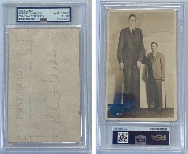 World's Tallest Man Robert Wadlow Signed Autograph Postcard - PSA