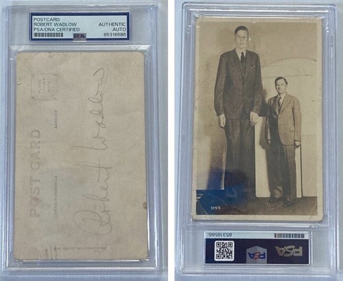 World’s Tallest Man Robert Wadlow Signed Autograph Postcard - PSA DNA - FREE S&H - Picture 1 of 4