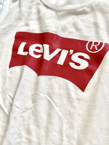 Kids Big Boy's (8-10) DSG Athletic Shorts Levi's Logo White T-Shirt Set of 2 - Picture 6 of 7