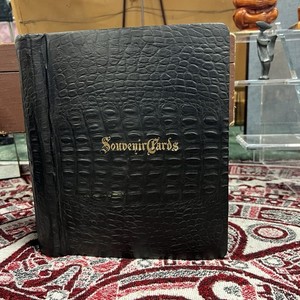 Antique Souvenir Postcard Album Alligator Pattern - 50 pages