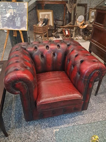 2 Antica Poltrona Chesterfield Queen Chester Red Bordeaux English armchair Label - Foto 4 di 6
